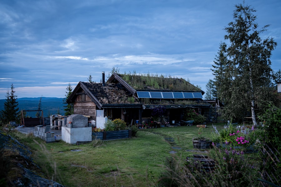 Norway Summer

