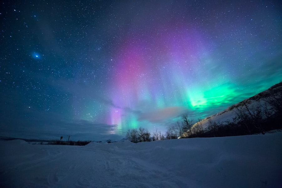norway
