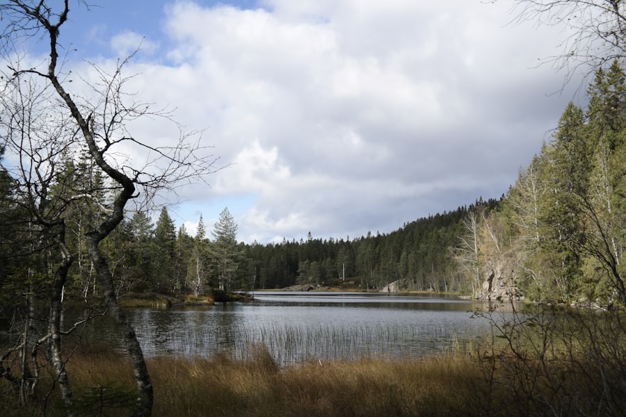 Photo Drammen
