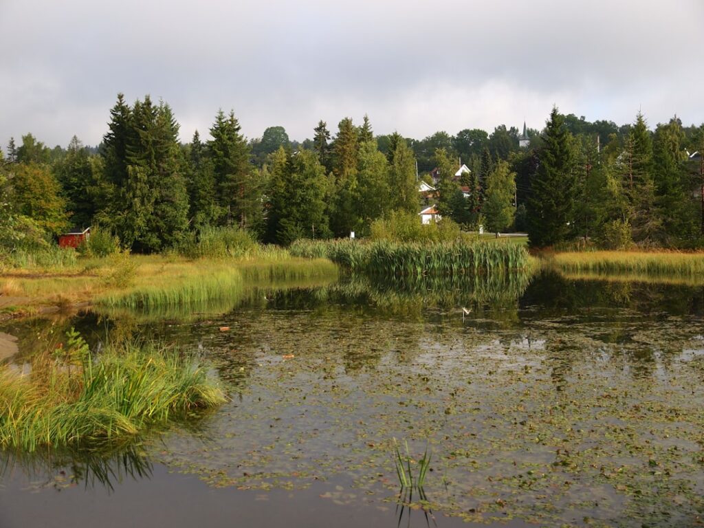 Photo Drammen