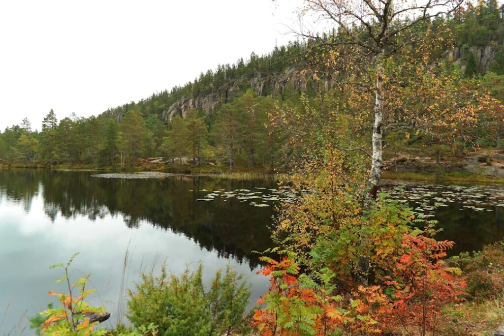 Photo Drammen