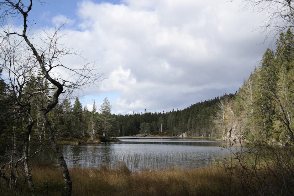 Photo Drammen