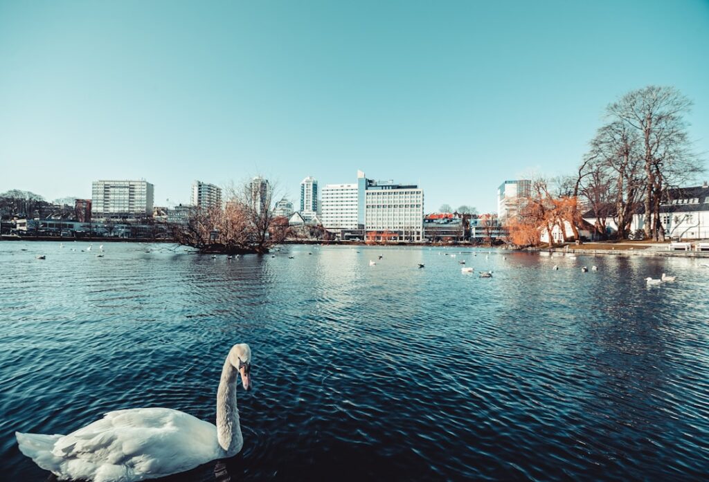 Photo Stavanger