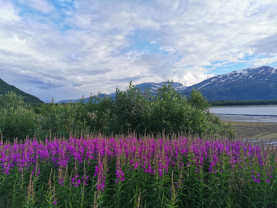 Photo Norway Summer